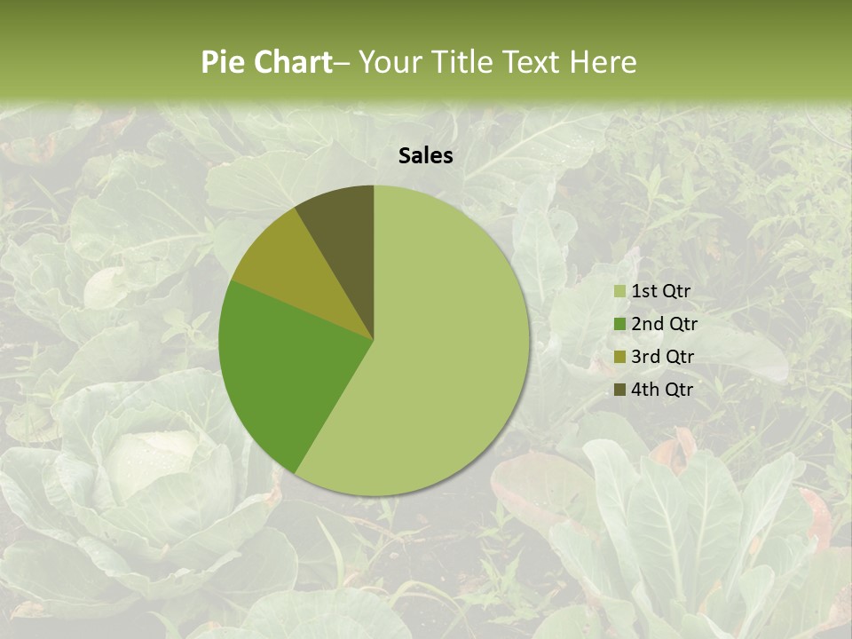 A Picture Of Some Plants In A Field PowerPoint Template