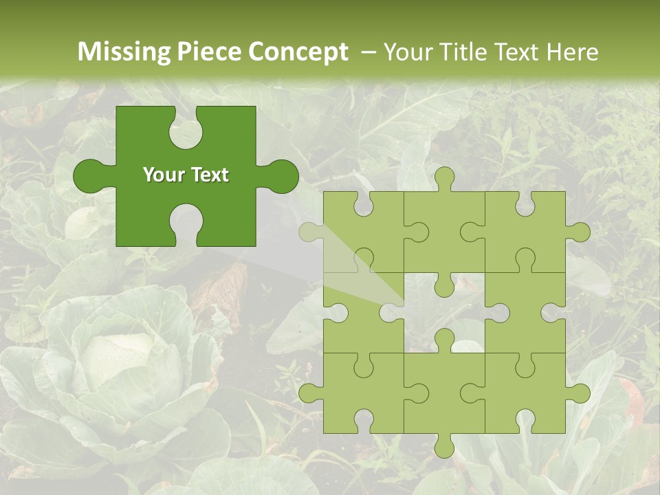 A Picture Of Some Plants In A Field PowerPoint Template