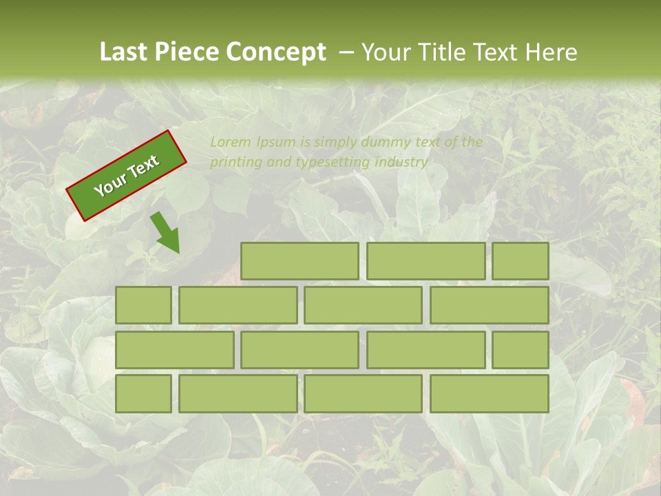 A Picture Of Some Plants In A Field PowerPoint Template
