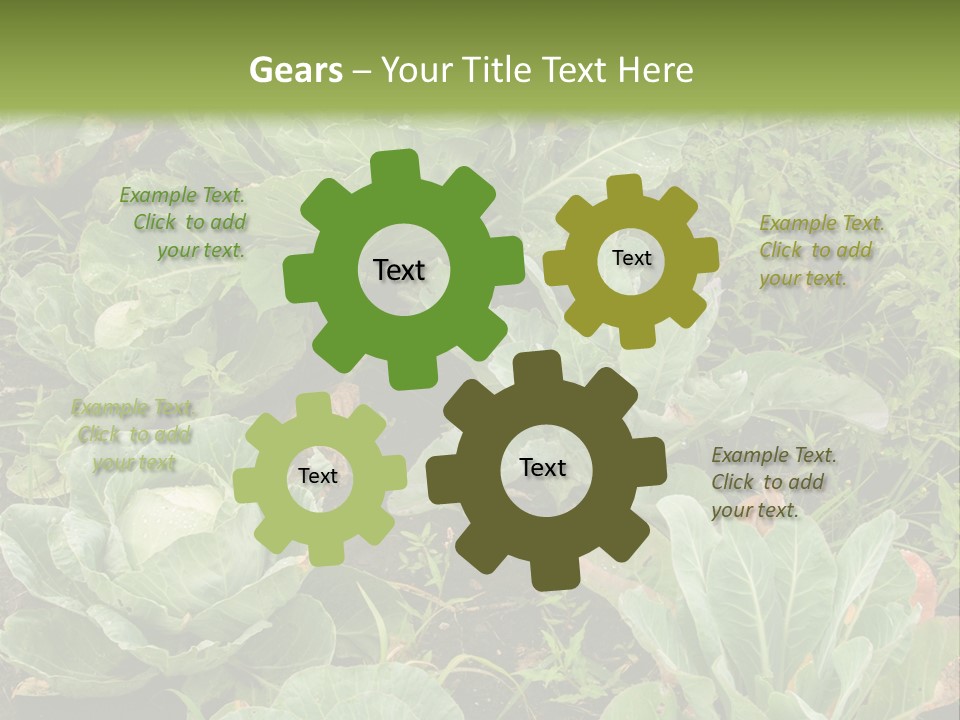 A Picture Of Some Plants In A Field PowerPoint Template