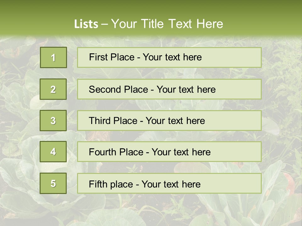 A Picture Of Some Plants In A Field PowerPoint Template