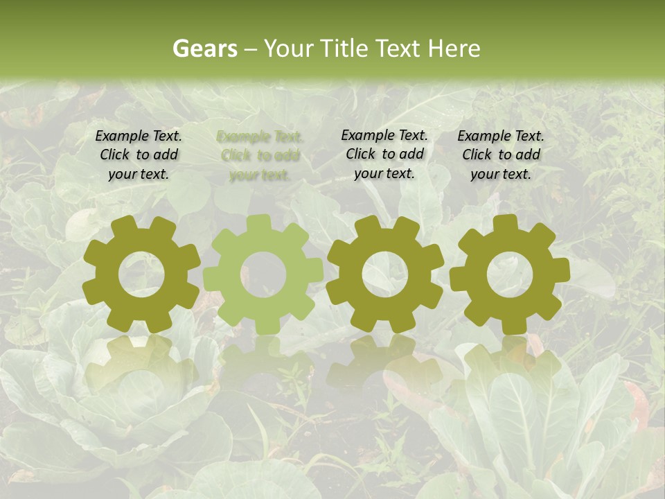 A Picture Of Some Plants In A Field PowerPoint Template