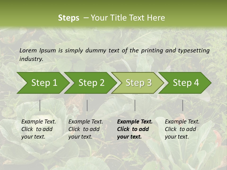 A Picture Of Some Plants In A Field PowerPoint Template