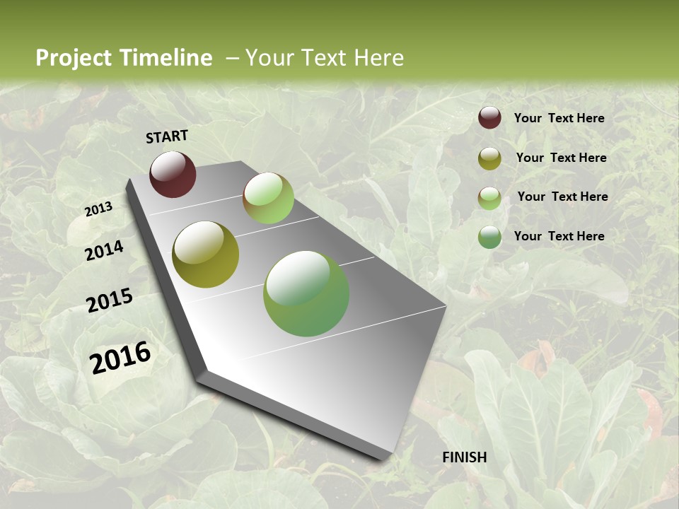 A Picture Of Some Plants In A Field PowerPoint Template