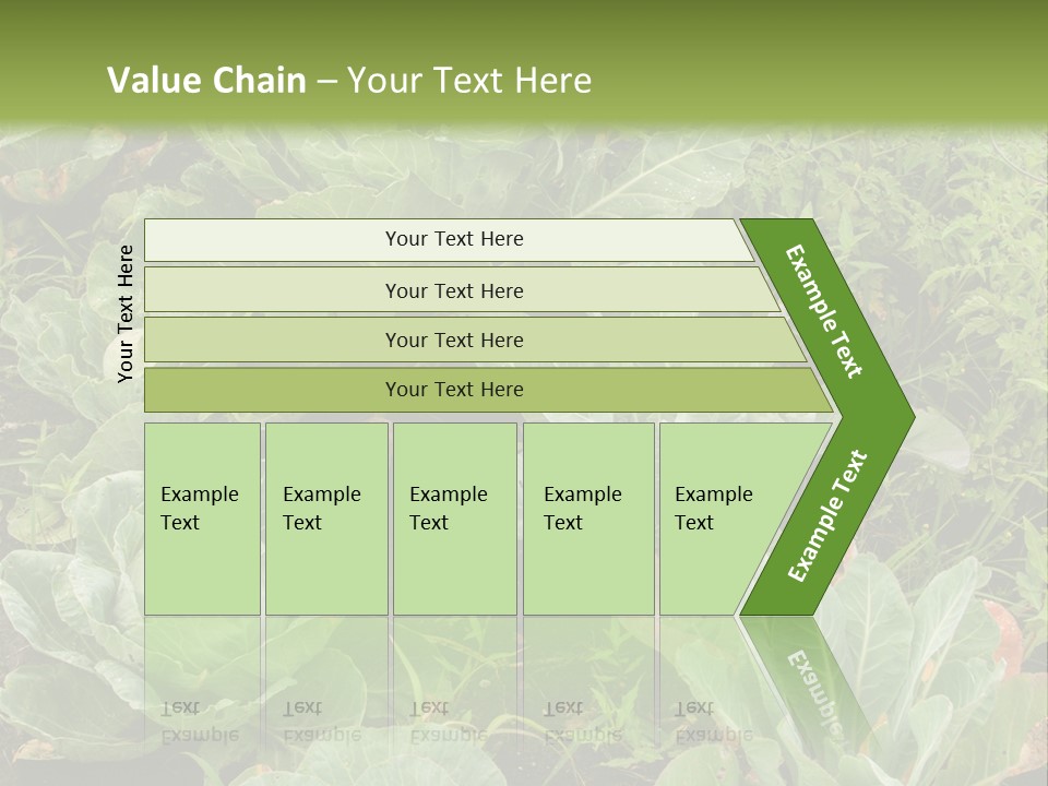 A Picture Of Some Plants In A Field PowerPoint Template