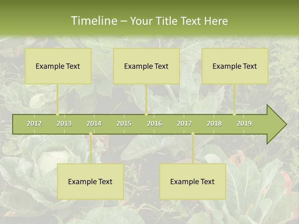 A Picture Of Some Plants In A Field PowerPoint Template