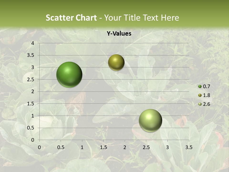A Picture Of Some Plants In A Field PowerPoint Template