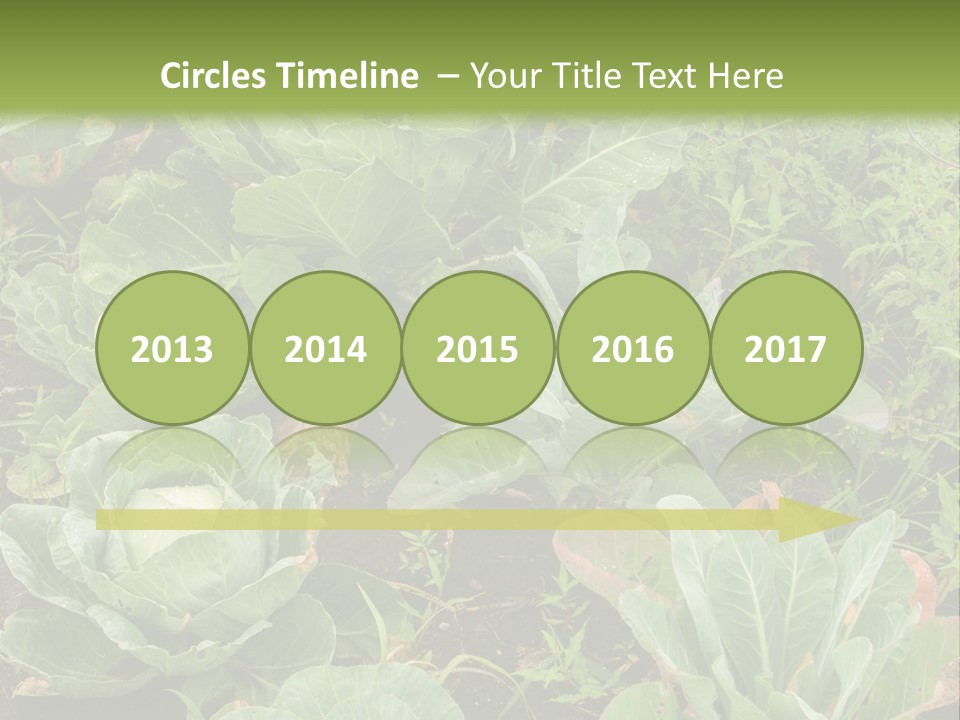 A Picture Of Some Plants In A Field PowerPoint Template