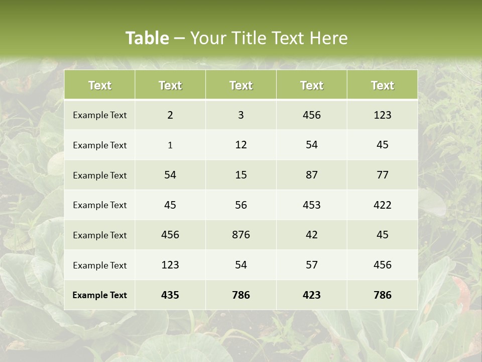 A Picture Of Some Plants In A Field PowerPoint Template