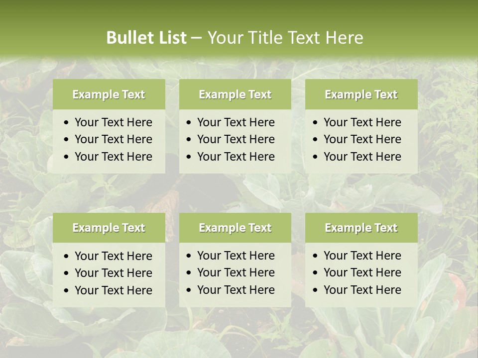 A Picture Of Some Plants In A Field PowerPoint Template