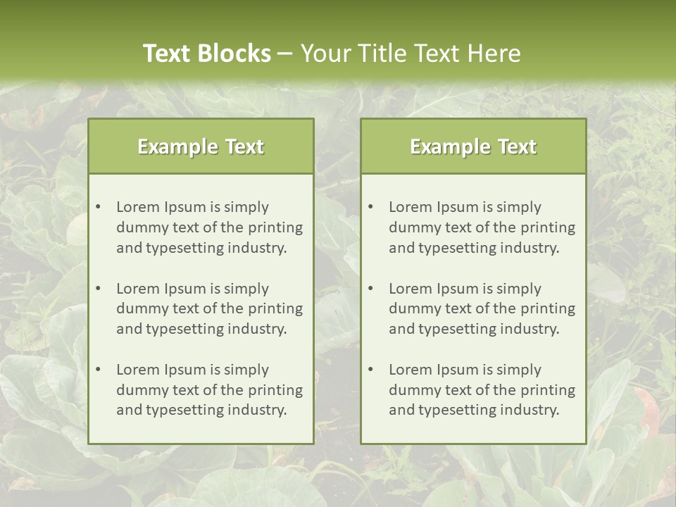 A Picture Of Some Plants In A Field PowerPoint Template