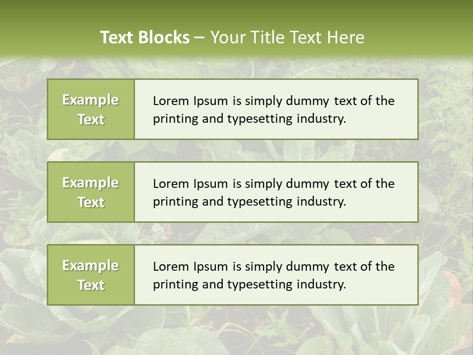 A Picture Of Some Plants In A Field PowerPoint Template