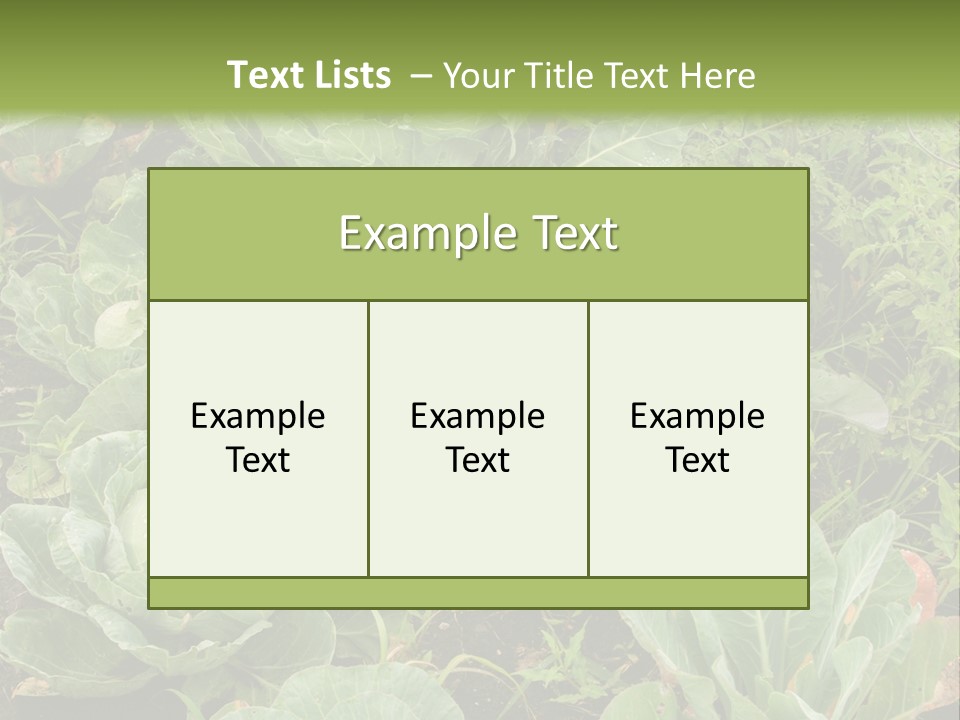 A Picture Of Some Plants In A Field PowerPoint Template