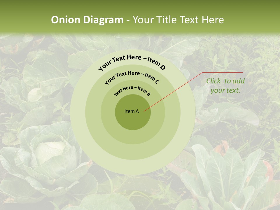 A Picture Of Some Plants In A Field PowerPoint Template