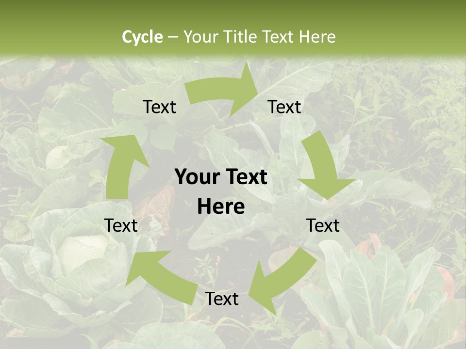 A Picture Of Some Plants In A Field PowerPoint Template