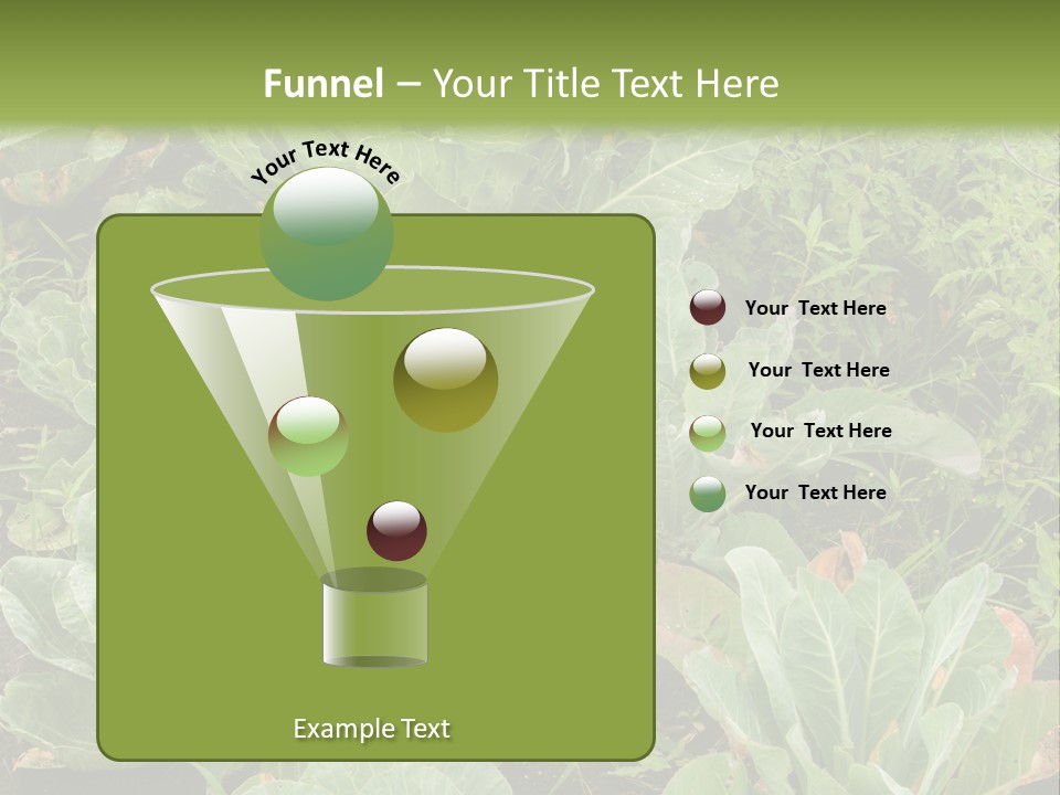 A Picture Of Some Plants In A Field PowerPoint Template