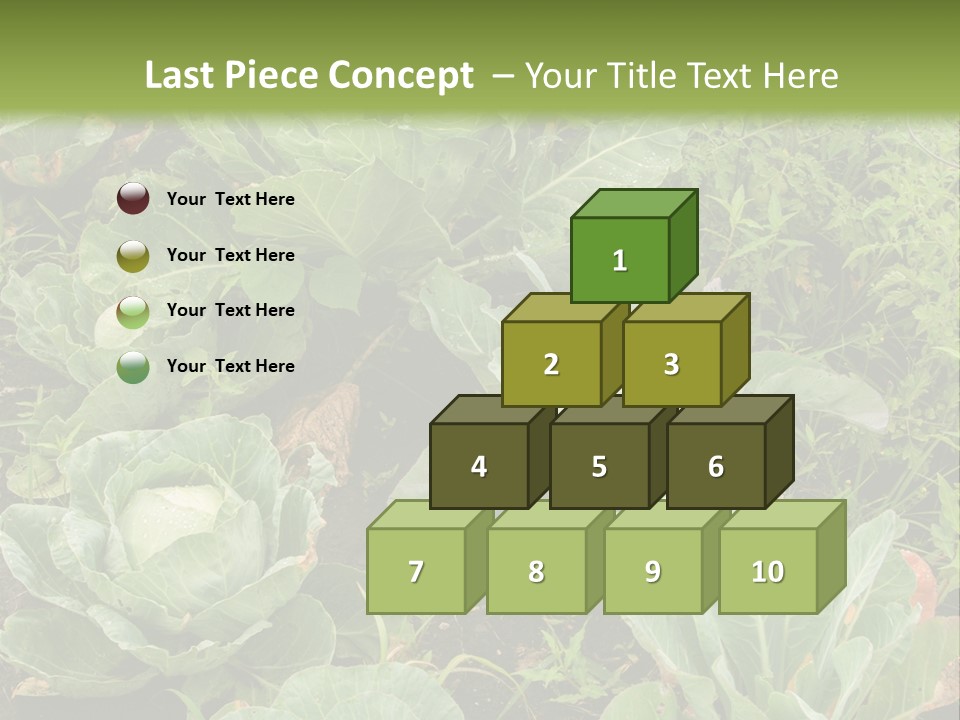 A Picture Of Some Plants In A Field PowerPoint Template