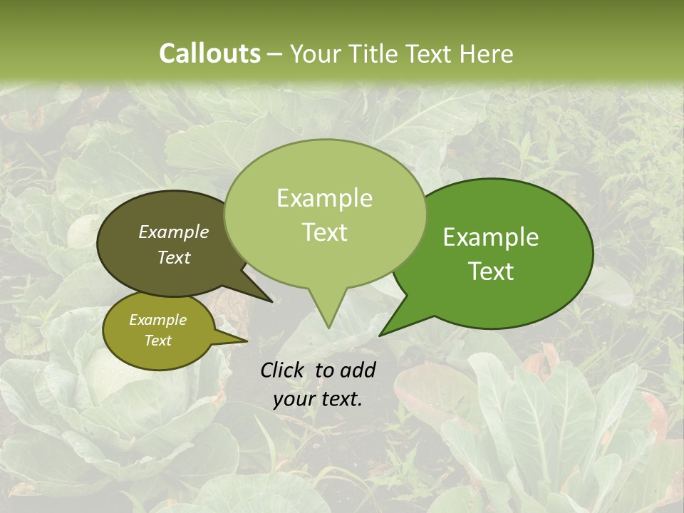 A Picture Of Some Plants In A Field PowerPoint Template