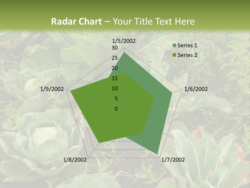 A Picture Of Some Plants In A Field PowerPoint Template
