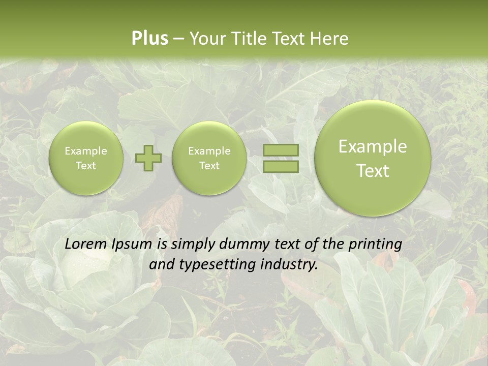 A Picture Of Some Plants In A Field PowerPoint Template