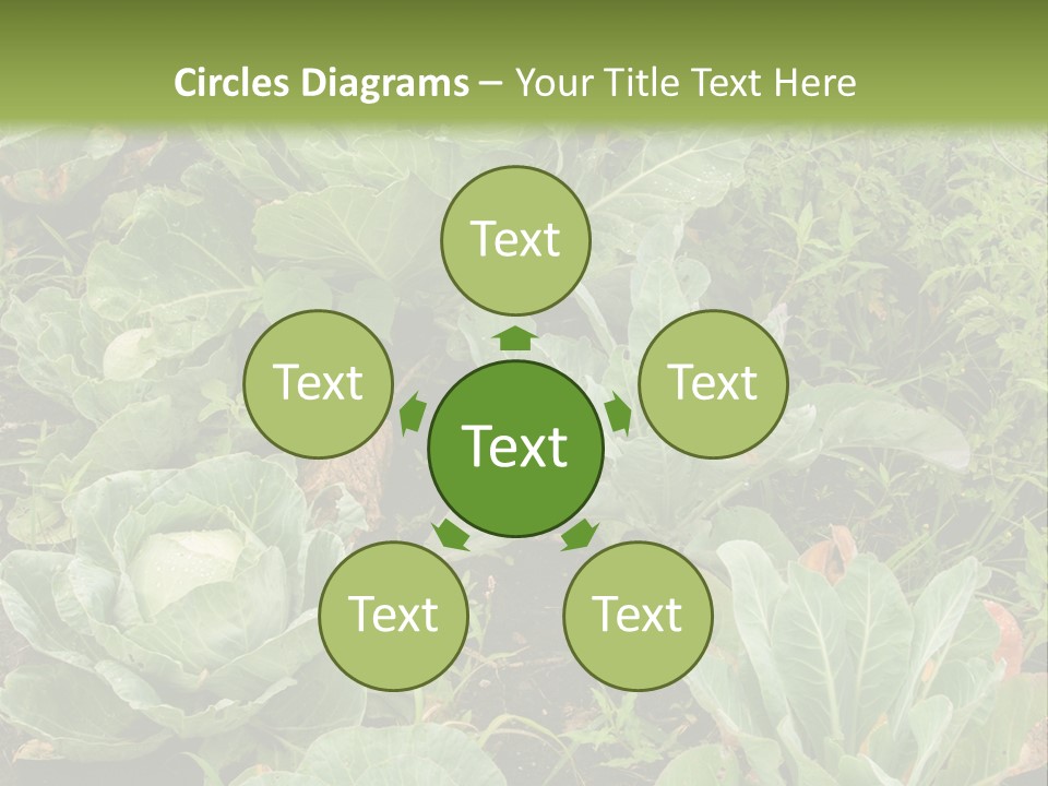 A Picture Of Some Plants In A Field PowerPoint Template