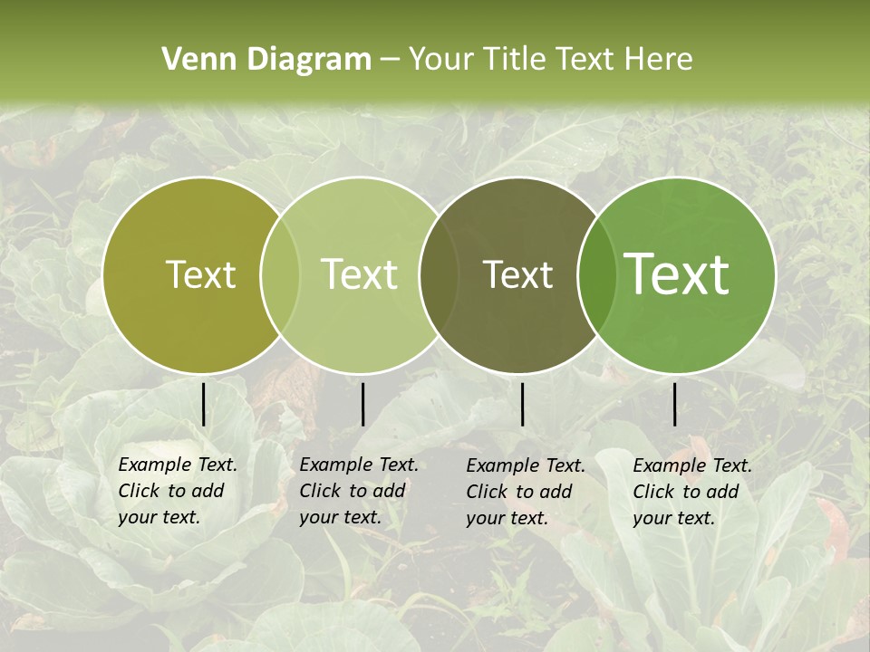 A Picture Of Some Plants In A Field PowerPoint Template