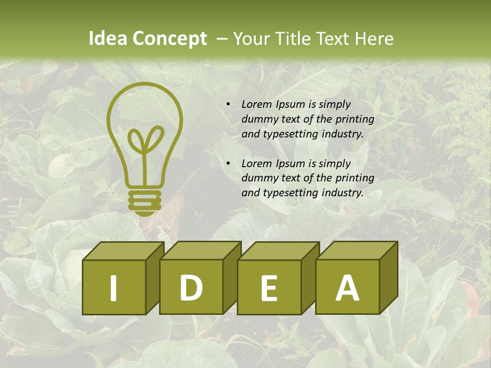 A Picture Of Some Plants In A Field PowerPoint Template