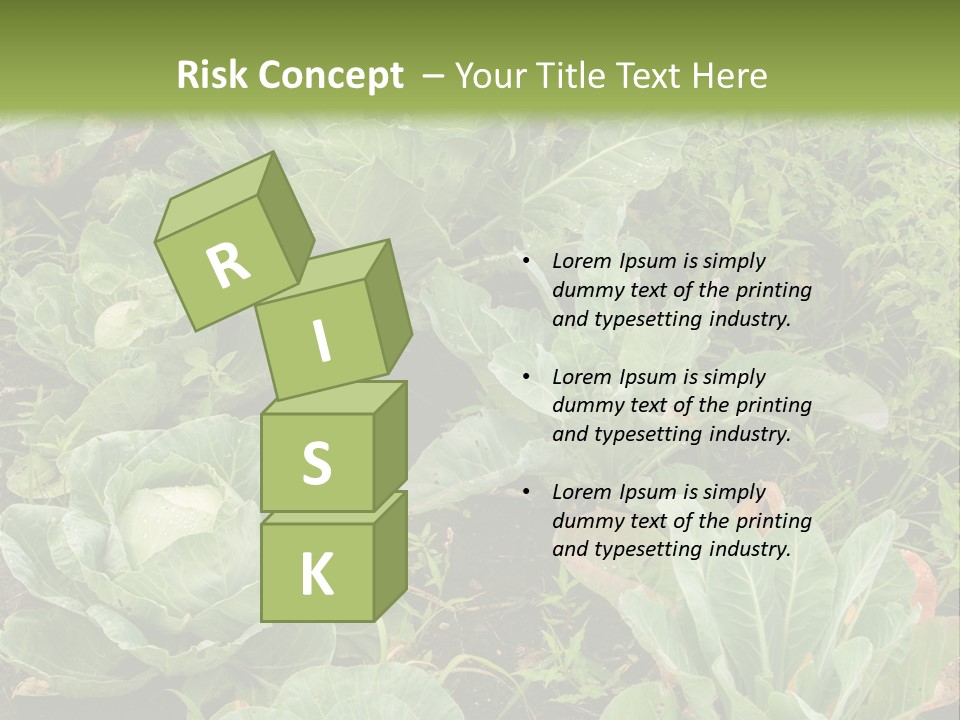 A Picture Of Some Plants In A Field PowerPoint Template