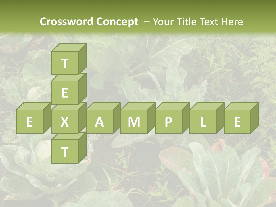 A Picture Of Some Plants In A Field PowerPoint Template