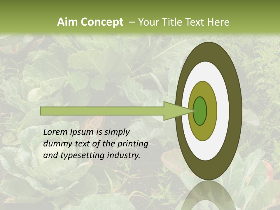 A Picture Of Some Plants In A Field PowerPoint Template