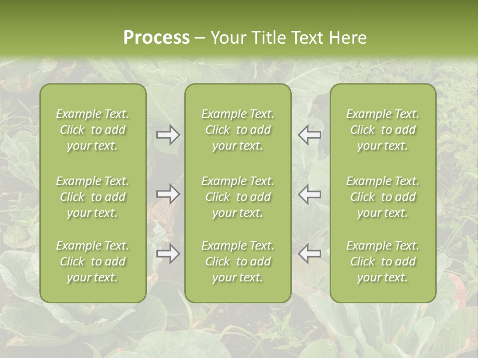 A Picture Of Some Plants In A Field PowerPoint Template