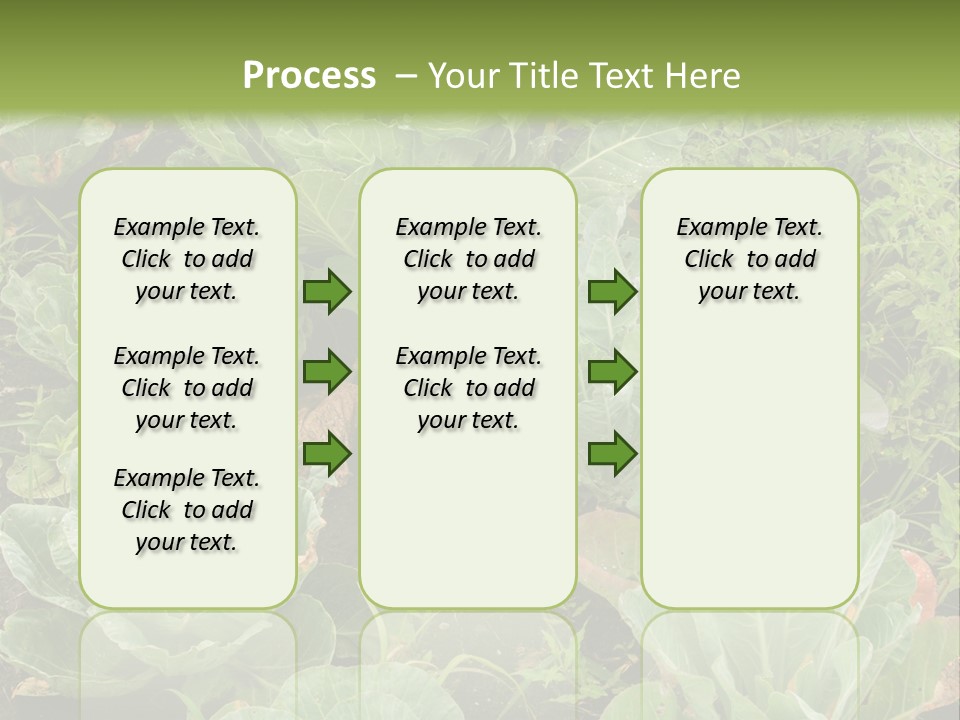 A Picture Of Some Plants In A Field PowerPoint Template