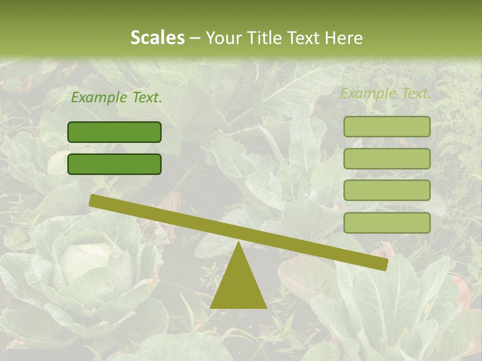 A Picture Of Some Plants In A Field PowerPoint Template