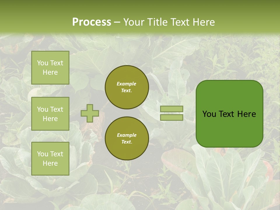 A Picture Of Some Plants In A Field PowerPoint Template