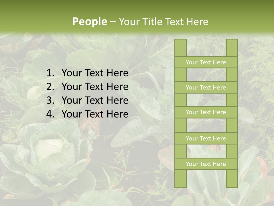 A Picture Of Some Plants In A Field PowerPoint Template