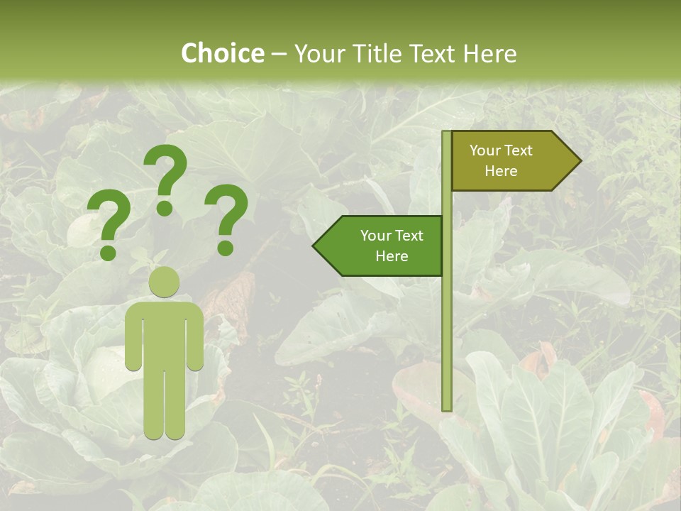A Picture Of Some Plants In A Field PowerPoint Template