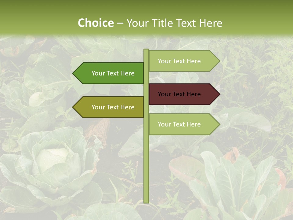 A Picture Of Some Plants In A Field PowerPoint Template