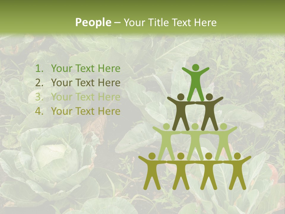 A Picture Of Some Plants In A Field PowerPoint Template