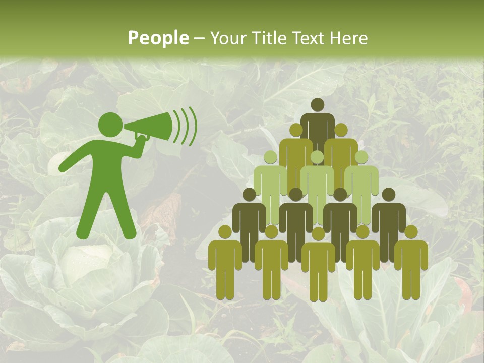 A Picture Of Some Plants In A Field PowerPoint Template