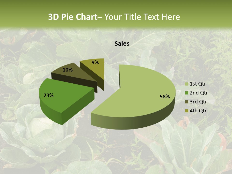 A Picture Of Some Plants In A Field PowerPoint Template