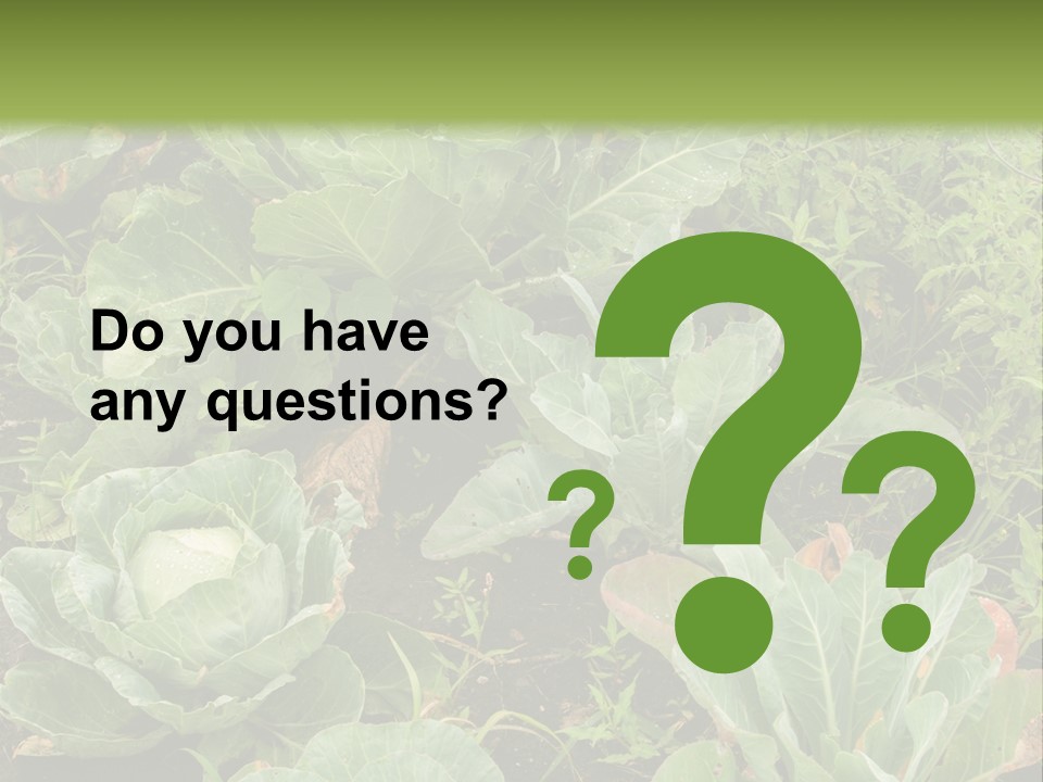 A Picture Of Some Plants In A Field PowerPoint Template