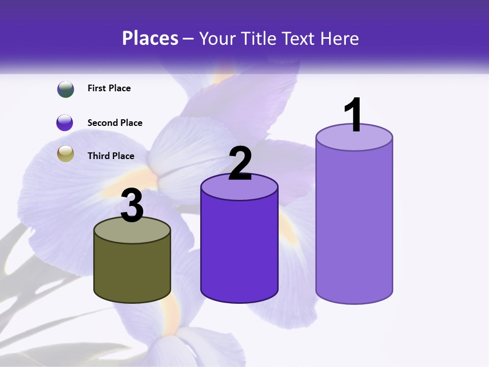A Purple And Yellow Flower On A White Background PowerPoint Template