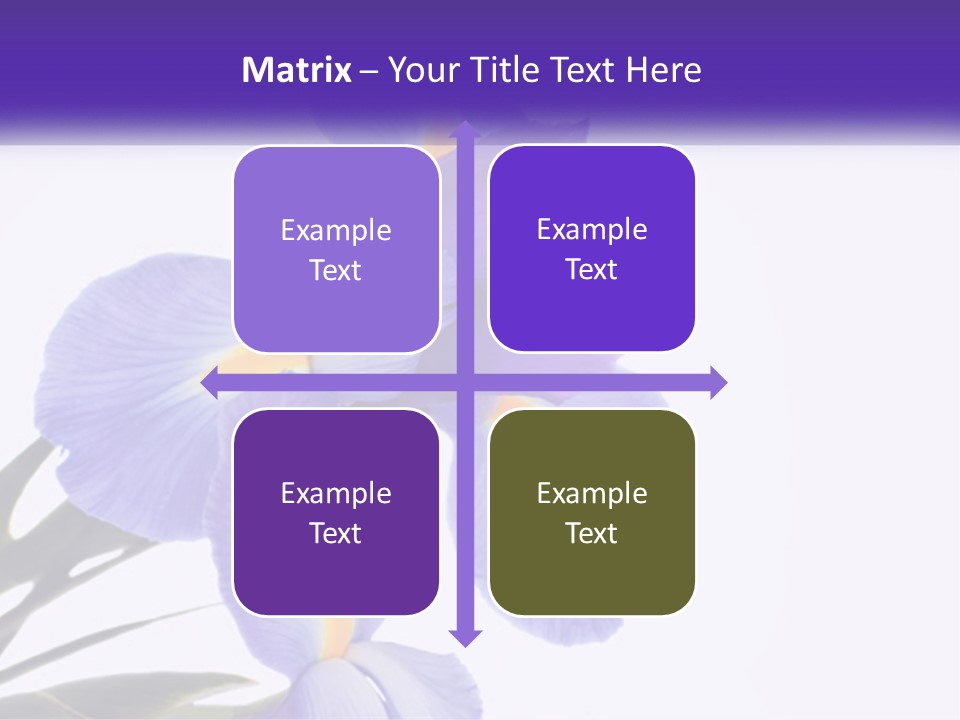 A Purple And Yellow Flower On A White Background PowerPoint Template