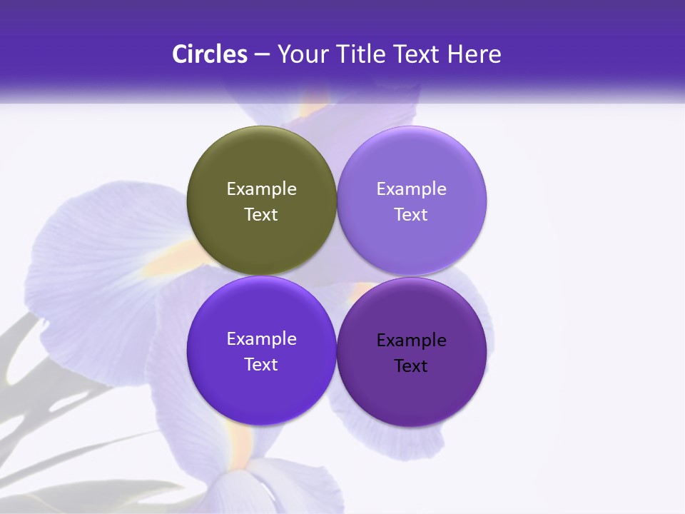 A Purple And Yellow Flower On A White Background PowerPoint Template