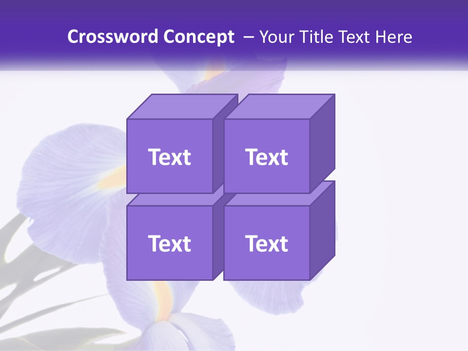 A Purple And Yellow Flower On A White Background PowerPoint Template