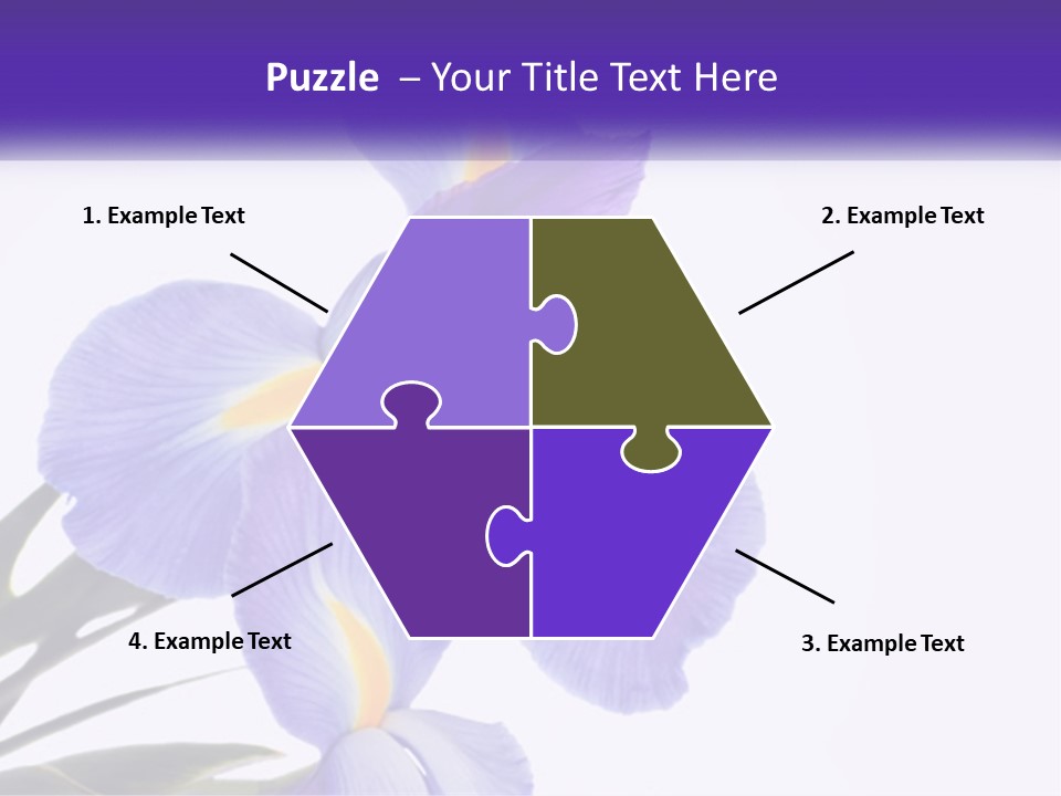 A Purple And Yellow Flower On A White Background PowerPoint Template