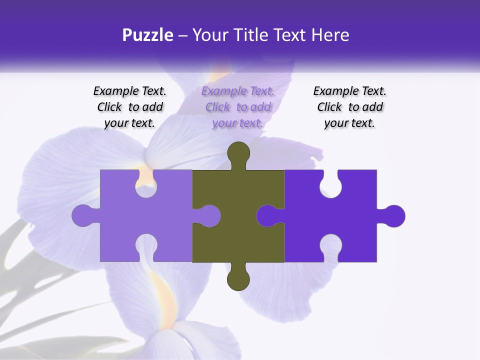 A Purple And Yellow Flower On A White Background PowerPoint Template