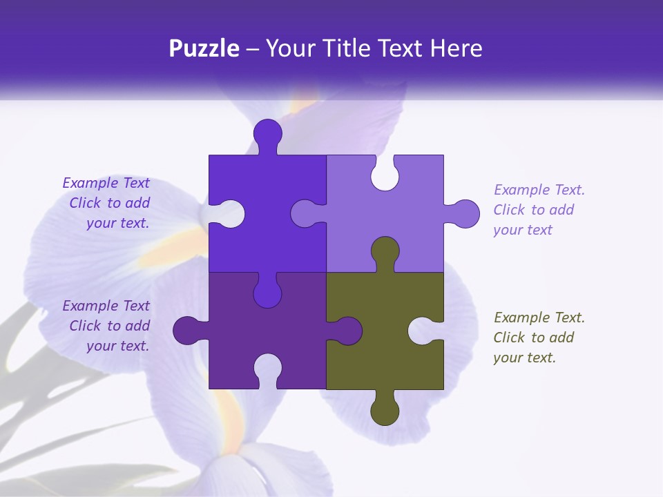 A Purple And Yellow Flower On A White Background PowerPoint Template