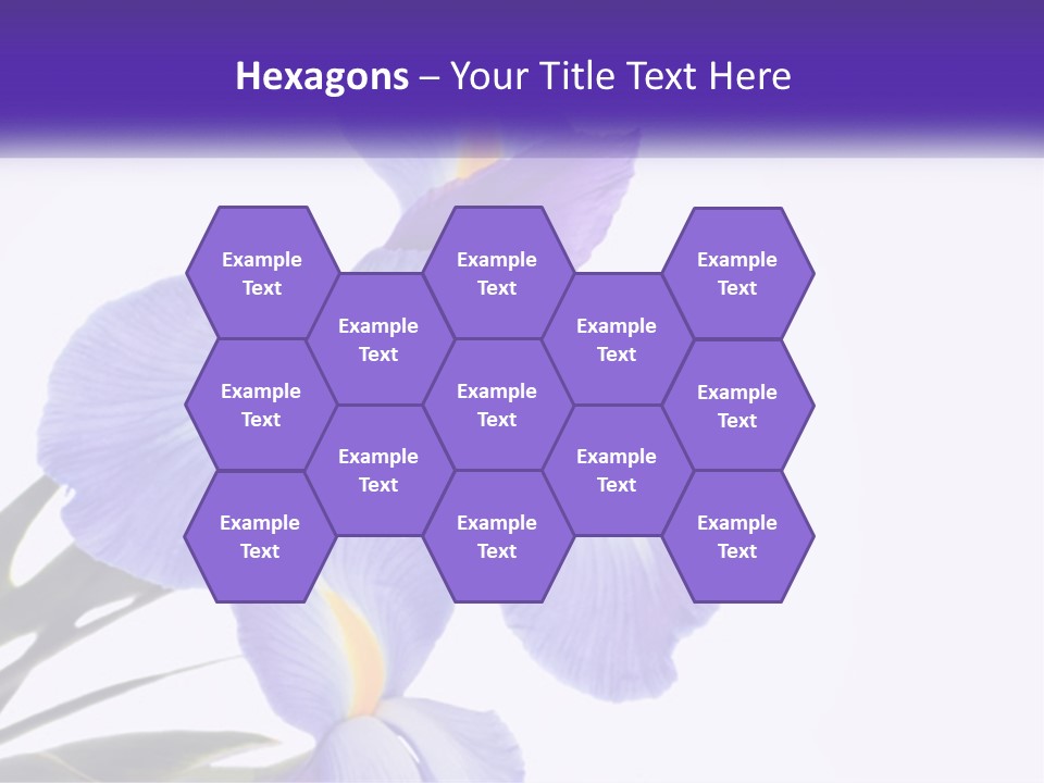 A Purple And Yellow Flower On A White Background PowerPoint Template