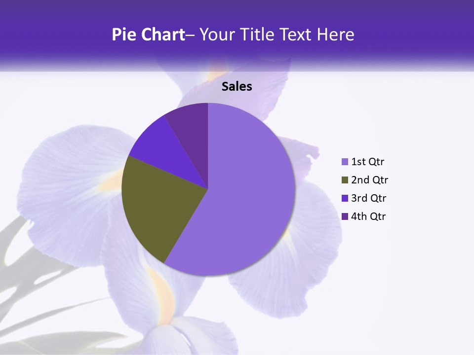 A Purple And Yellow Flower On A White Background PowerPoint Template